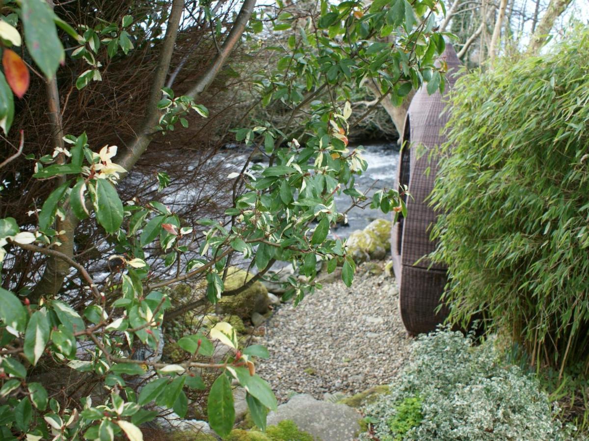 Talybont Bed And Breakfast Barmouth Buitenkant foto